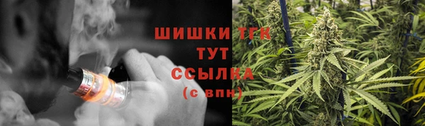 твердый Данков
