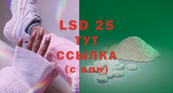 хмурый Сатка