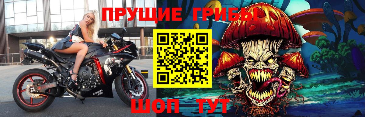 Галлюциногенные грибы MAGIC MUSHROOMS Мурино