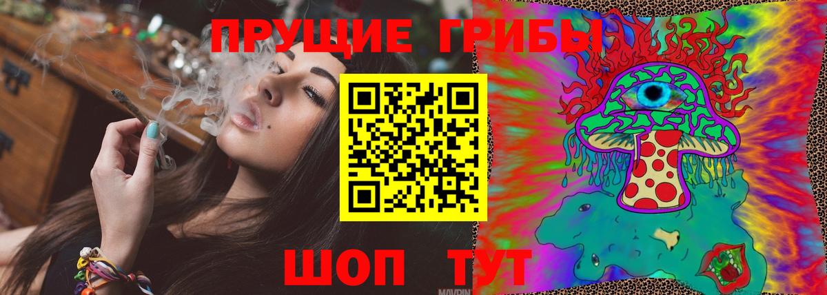 закладки  Галлюциногенные грибы ЛСД  Вход с VPN  Мурино  Псилоцибиновые грибы мицелий 